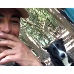 Herói de quatro patas: cãozinho avisa pescadores sobre idosa perdida